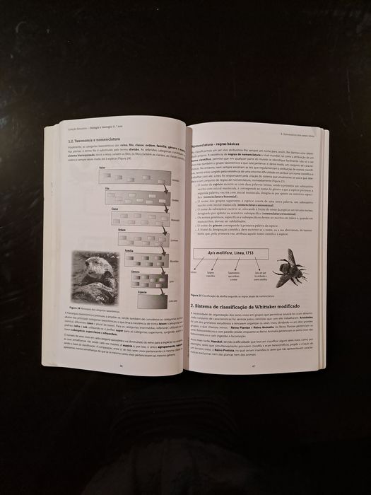 Resumos de Biologia e Geologia 11° ano