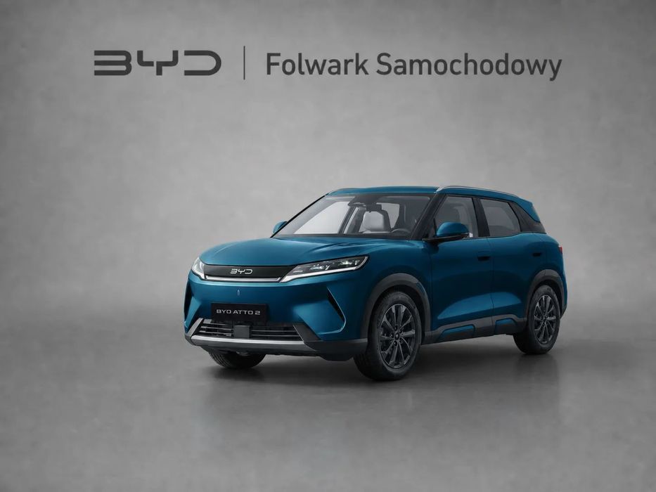 BYD Pozostałe BYD