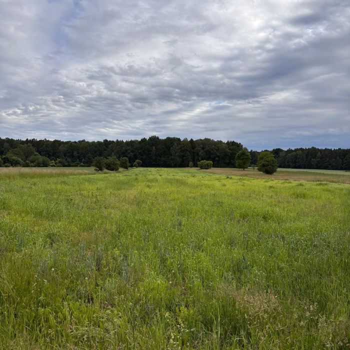 Działka Tychy Wilkowyje - Widok 3