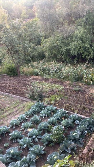 Уютная Дача на холме в тихом месте