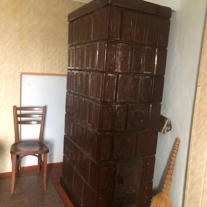 Будинок в Карпатах, біля лісу