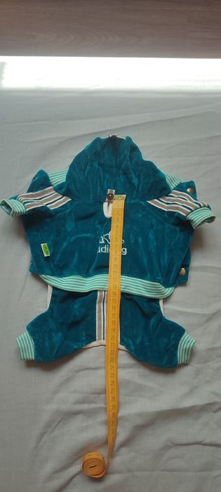 Одяг та намордник для собак