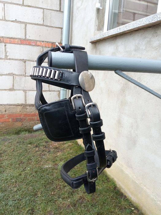 Ogłowie zaprzęgowe