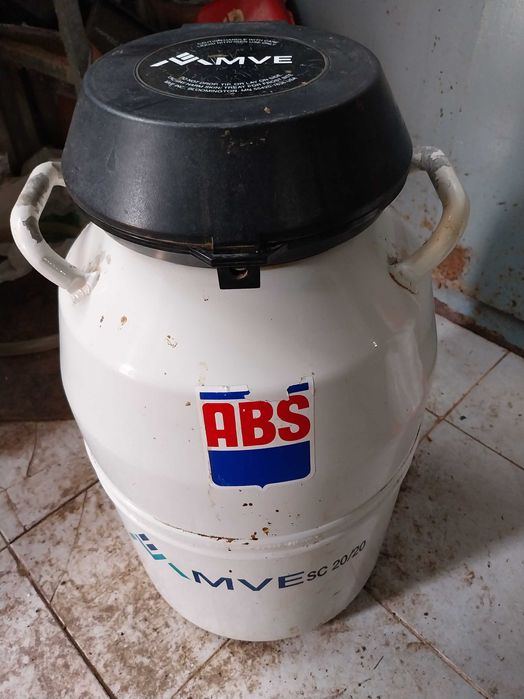CORNADIS SAFETY AJUSTÁVEIS, sala de ordenha Fullwood,Tanques Leite,