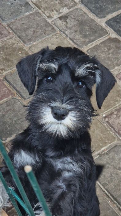 Подросток с документами.