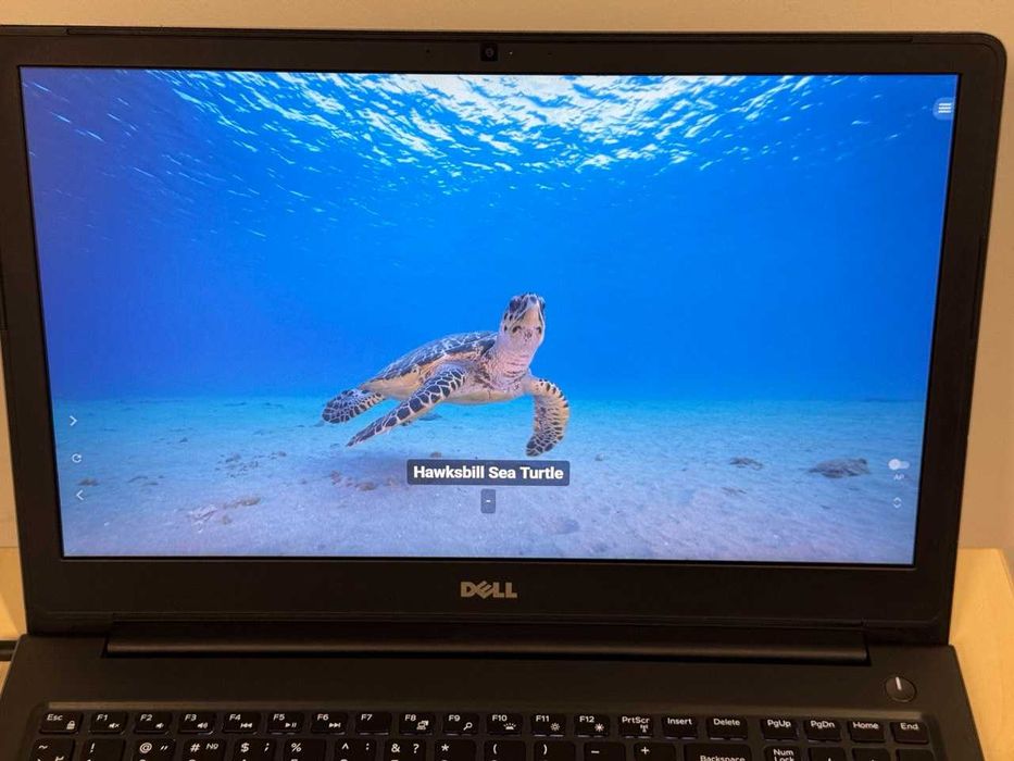 Ноутбук для навчання, роботи, ігор, Dell Vostro 5568 Діагональ 15.6