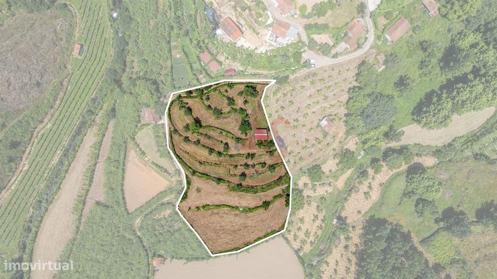 Terreno com 5.000 m² com Potêncial De Construção