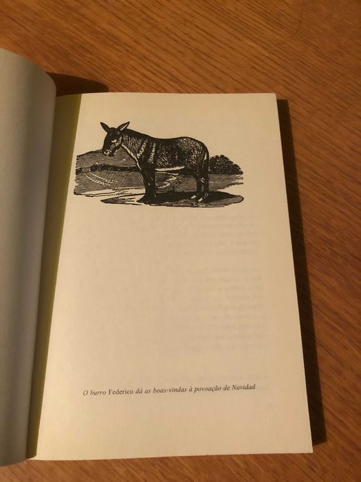 Berta a Grande  (Berta la larga)      CUCA CANALS