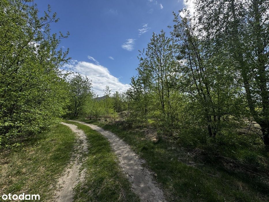 Działka budowlana 1207 m²_Świetne wymiary_ Suszno, gm. Włodawa