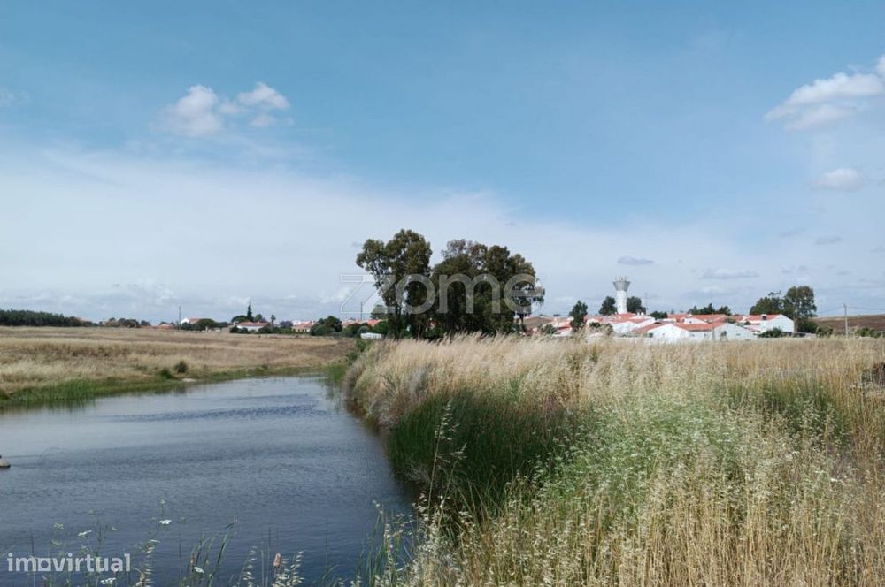 Terreno rustico com pomar