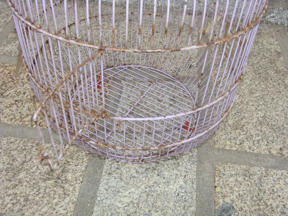 Gaiola Redonda Lilás para Restauro