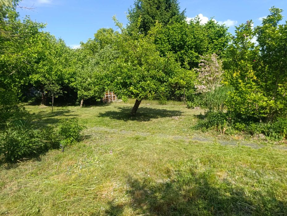 Działka ROD Słonecznik Iława - Widok 5