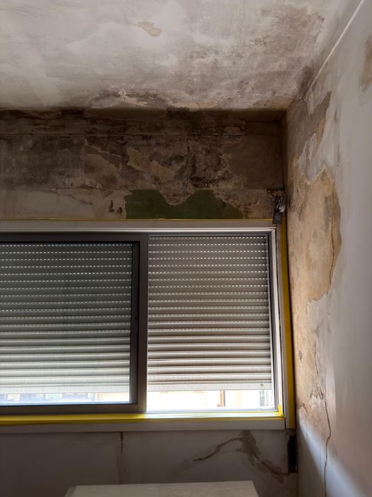 Serviços de Remodelação, Pinturas, Pladur e Chão Flutuante