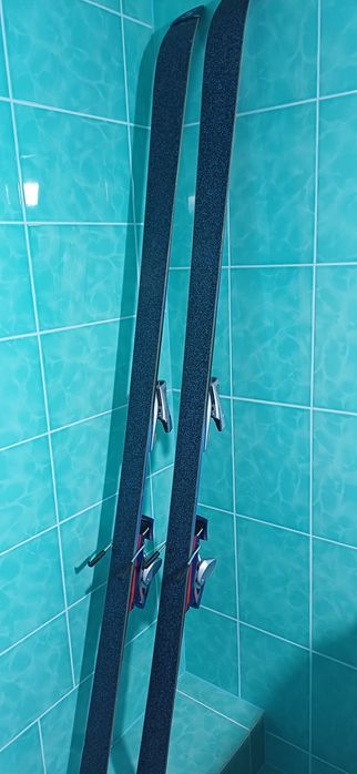 Лижі гірські Salomon Evolution