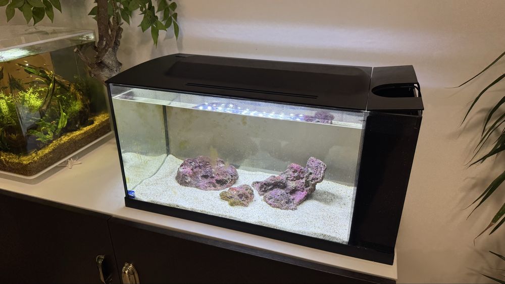 Aquario Marinho Completo 50L