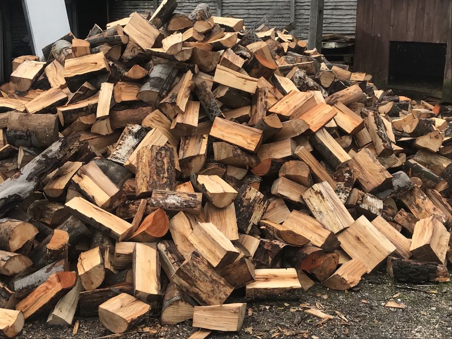 Sprzedam drzewo bukowe i nie tylko