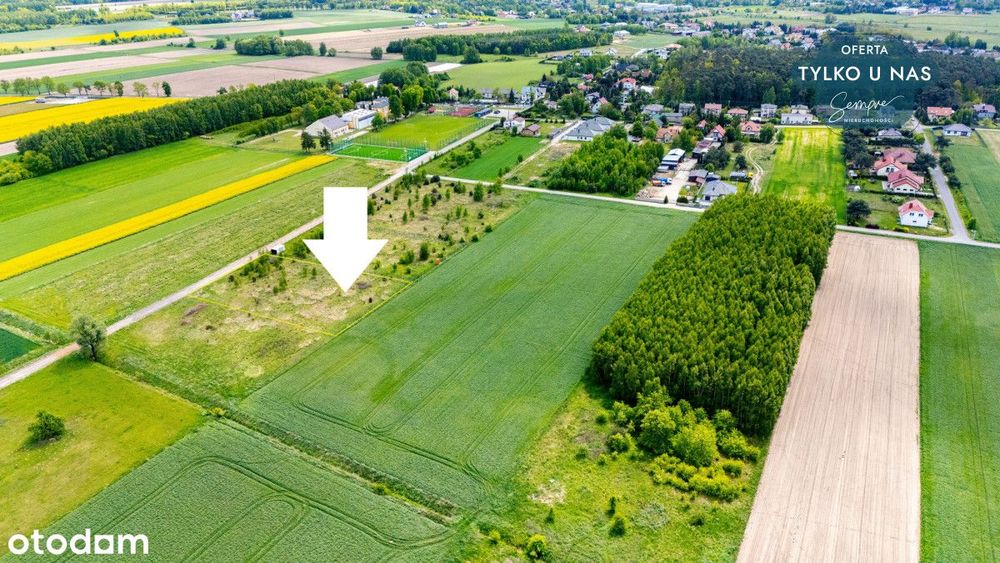 Działka 3000mk Kazimierz blisko szkoły