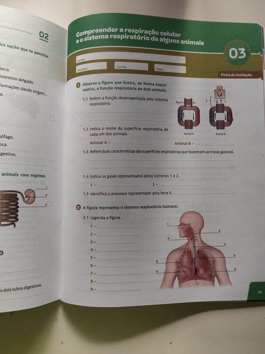 Livro de fichas de Ciências Naturais 6° ano