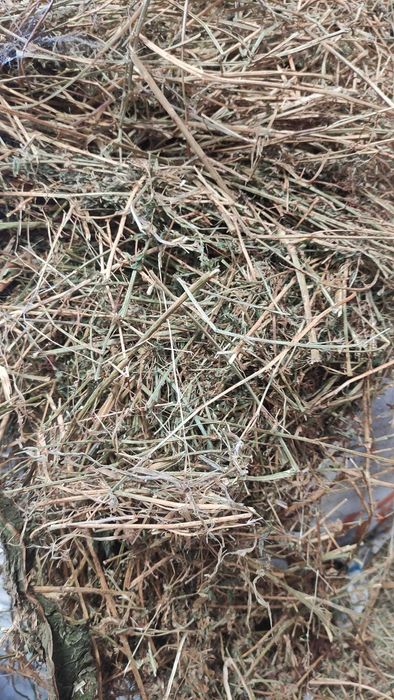 Fardos de Palha de trigo, cevada, feno e luzerna