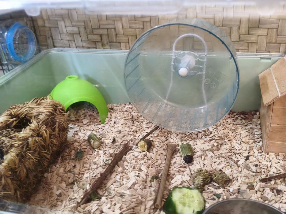 Клітка Дюна Міні 55 см комплект