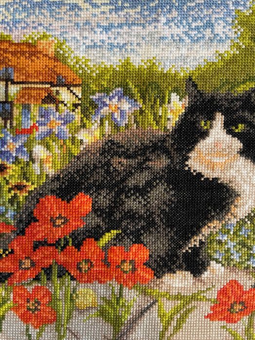 obraz haftowany krzyzykiem. Kotka. recznie robiony