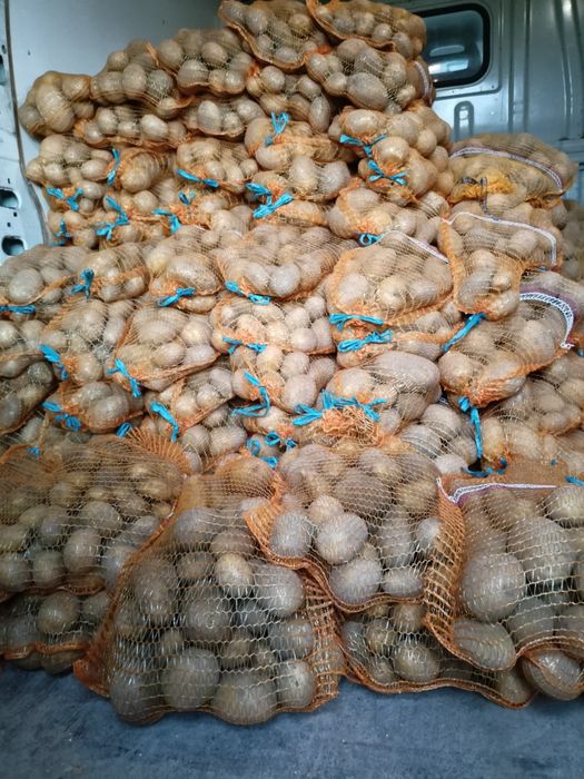 Ziemniak denar tacja ziemniaki