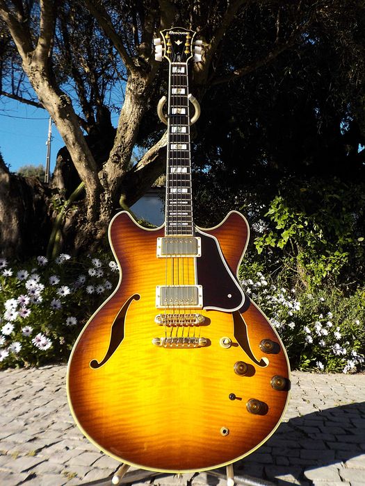 Ovation Ibanez Fender Guild JJoye guitarra baixo