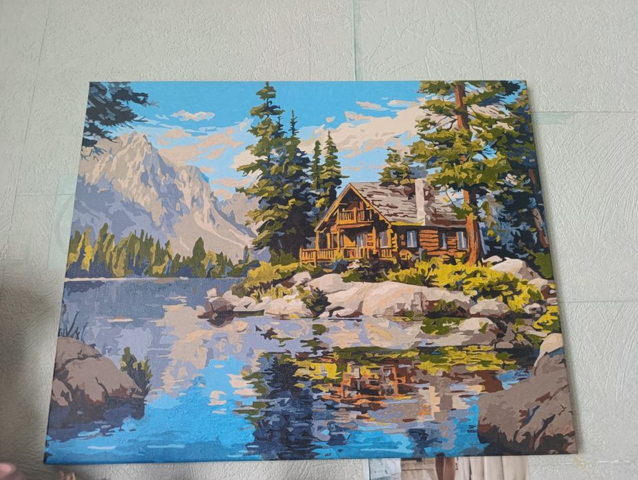 Картина намальована по номерам 40*50