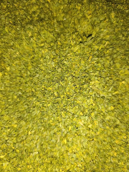 Продам сушену петрушку