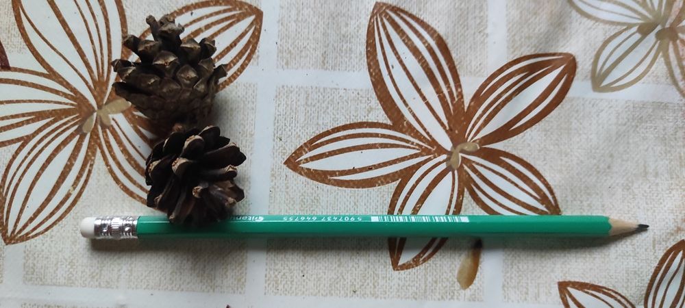 Sprzedam szyszki mix lub nie.