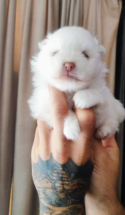 Я класний ! Маленький