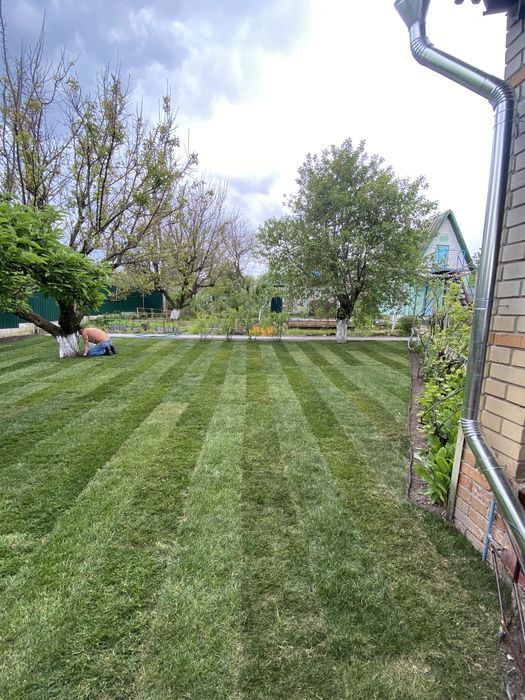 Рулонный/Посевной газон + Автополив + Обслуживание