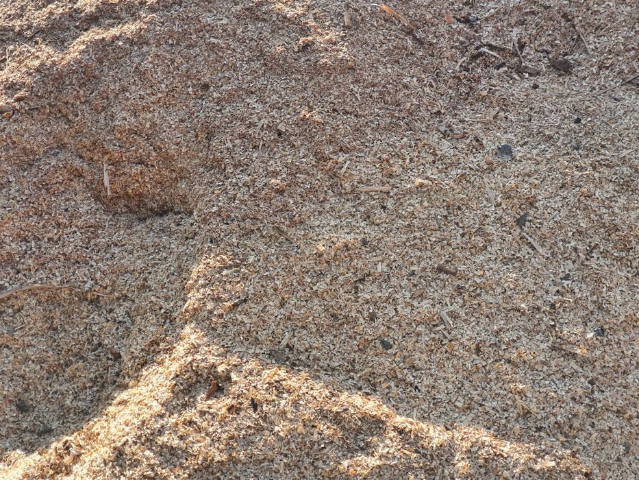 Trociny trocina  worki buk olcha do wędzenia na opał