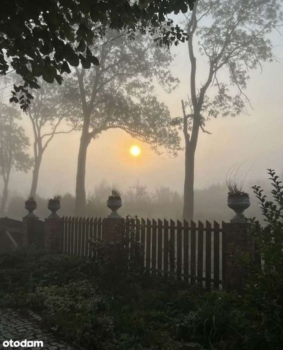 Dom ze stawem, fotowoltaiką i szybkim dojazdem do Gdańska