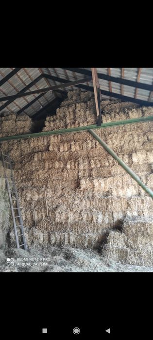 Słoma w kostkach !!!