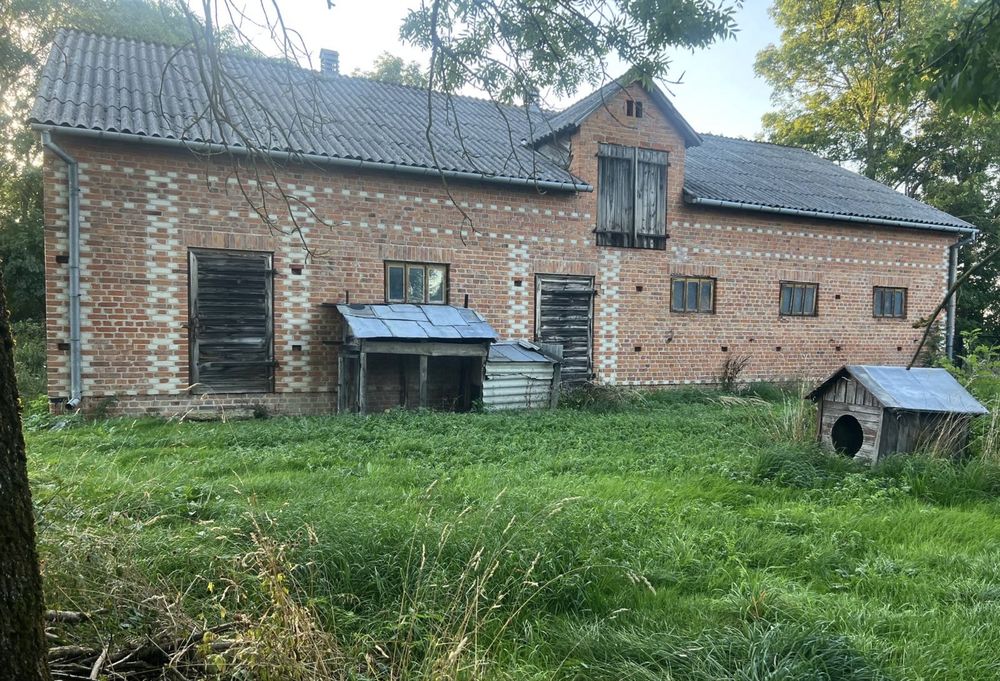 Zdjęcie 5