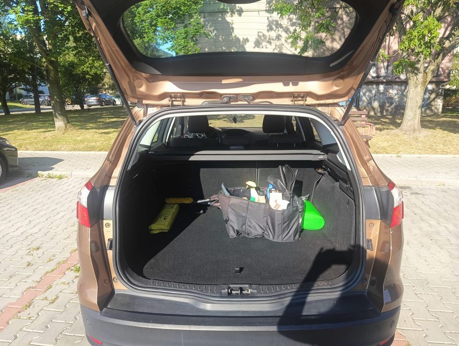 Ford Focus EcoBust