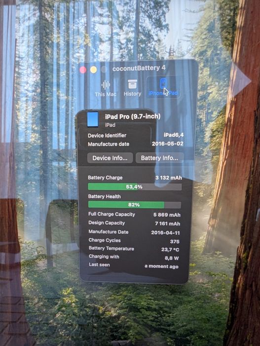 iPad Pro 9.7 на 128 GB LTE #145