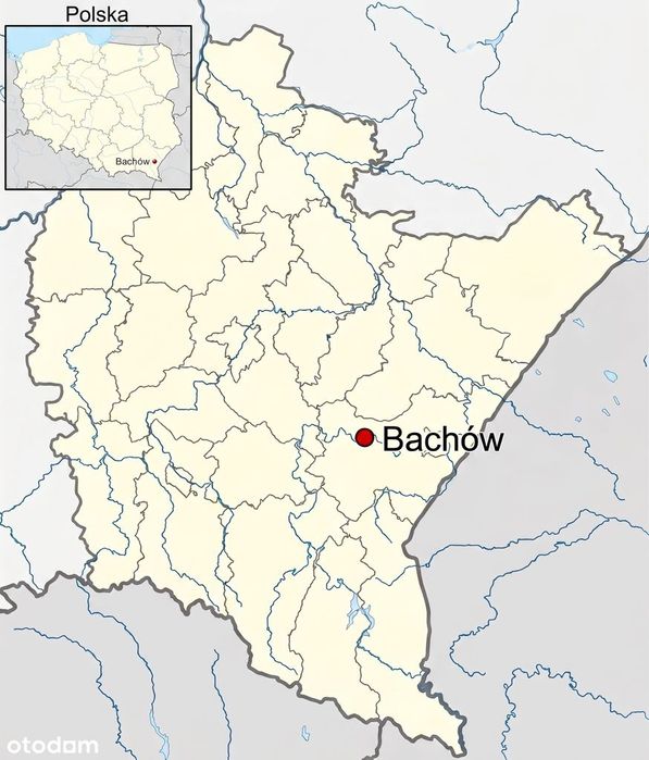 Siedlisko 38 arów z drewnianym domem - Bachów (Podkarpacie)