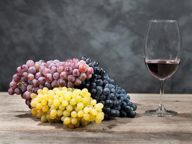 Uvas de qualidade para fazer Vinho (Tenho Uvas Tinto e algumas Brancas) - Região do Dão