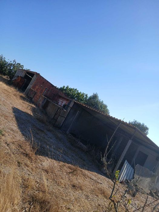 Terreno 2 hectares ótimo investimento!