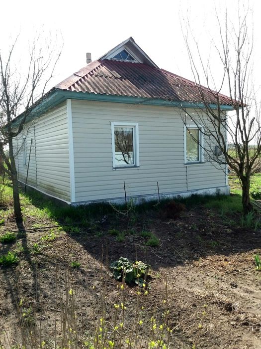 Продам будинок с.Дмитрівка дешево.