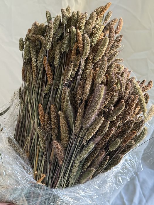 Сухоцвіти льон пшениця