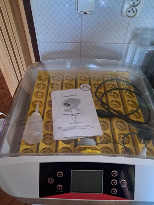 Inkubator Mamrotte EVO 56