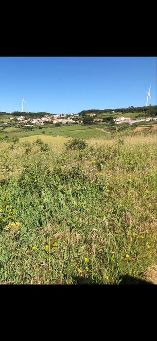 Terreno Rustico e urbano
