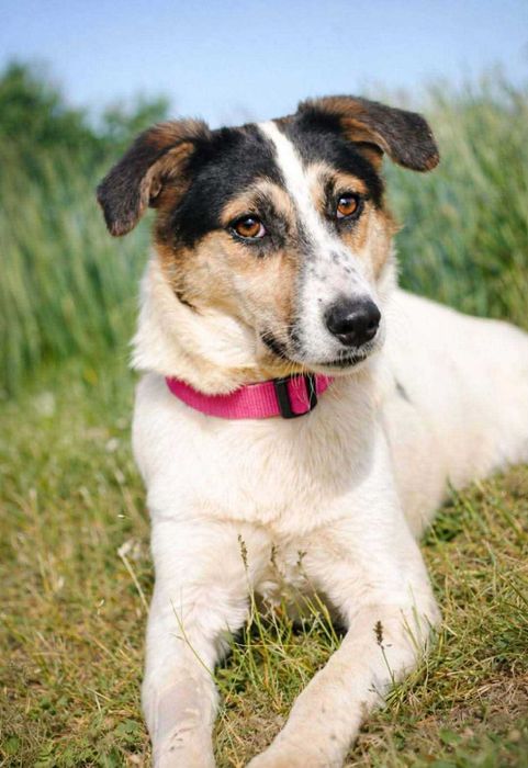 Daj dom skromnej Żelce