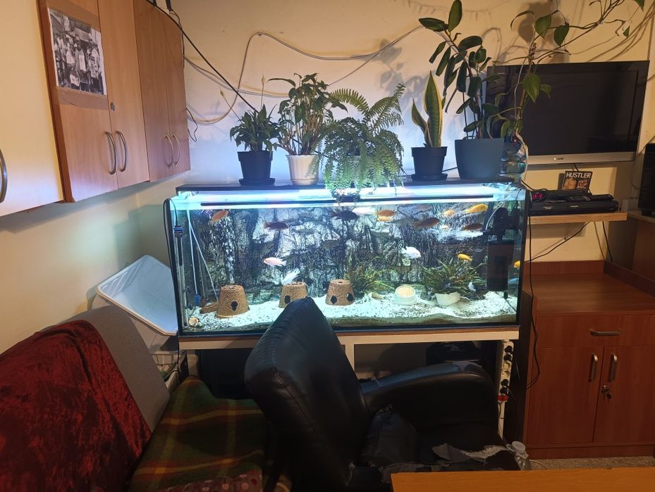 zestaw akwarium 375l