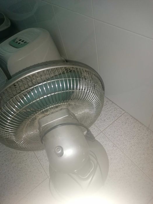 Ventoinha em bom estado
