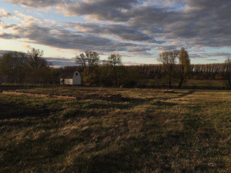 Будинок з приватизованим великим участком в с. Салтикова Дівиця