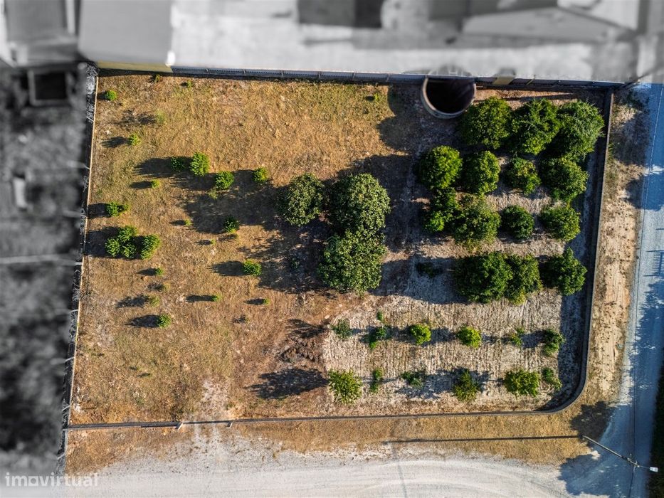 Terreno Para Construção  Venda em Vendas Novas,Vendas Novas